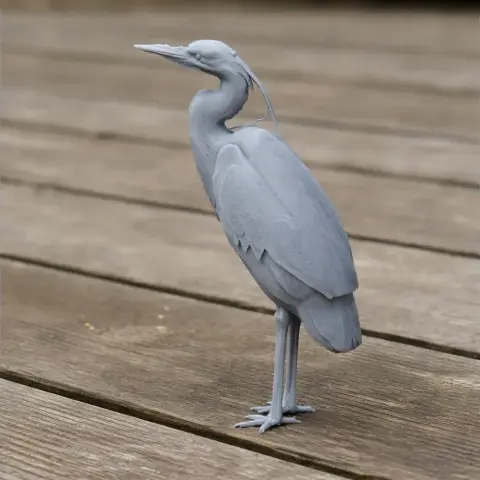 Heron