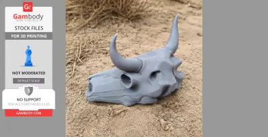 Bull Skull
