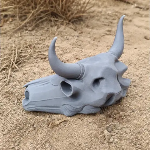 Bull Skull