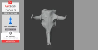 Bull Skull