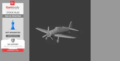 F6F Hellcat Plane