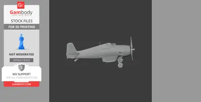 F6F Hellcat Plane