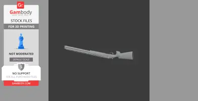 Beretta DT11