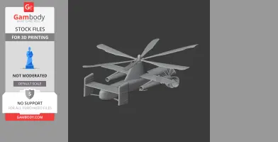 Fairey Rotodyne Helicopter