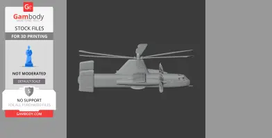 Fairey Rotodyne Helicopter