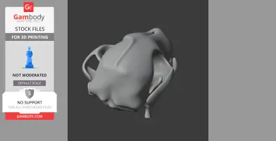 Bush Dog Skull