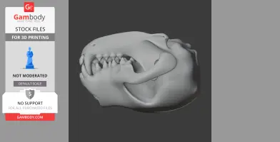 Bush Dog Skull