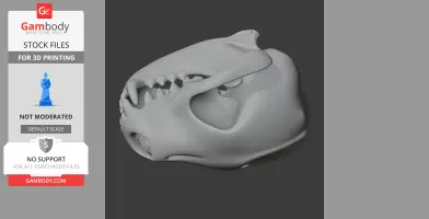 Bush Dog Skull