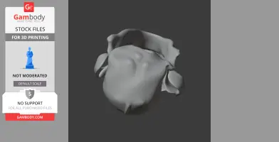 Bush Dog Skull