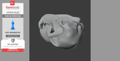 Bush Dog Skull