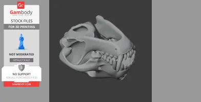 Bush Dog Skull