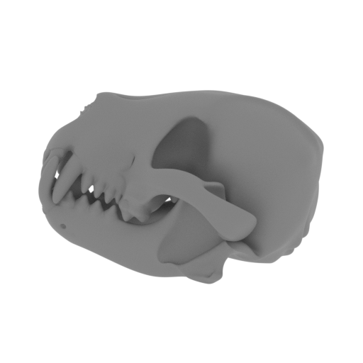 Bush Dog Skull.stl
