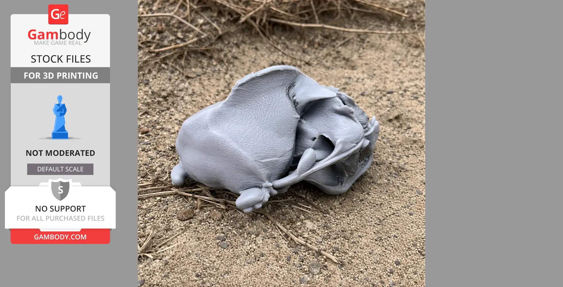 Gray 3D-printed California sea lion skull lying on sandy ground.