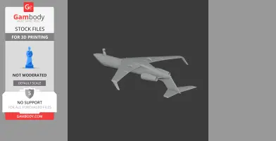 Gulfstream Jet Plane