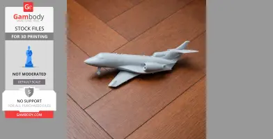 Gulfstream Jet Plane