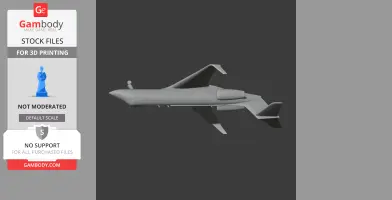Gulfstream Jet Plane