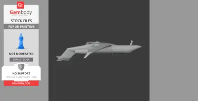 Gulfstream Jet Plane