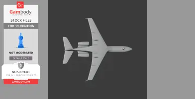 Gulfstream Jet Plane