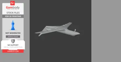 Gulfstream Jet Plane