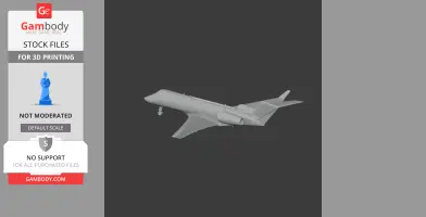 Gulfstream Jet Plane