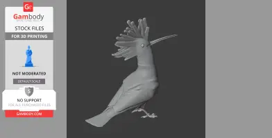 Hoopoe