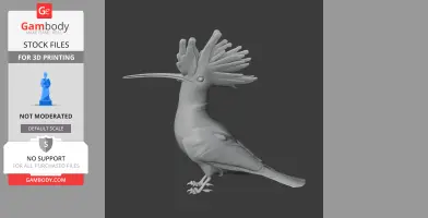 Hoopoe