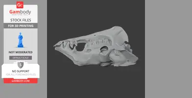 Camel Skull