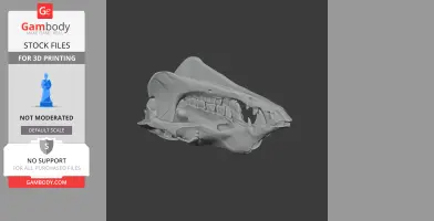Camel Skull