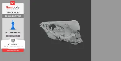 Camel Skull