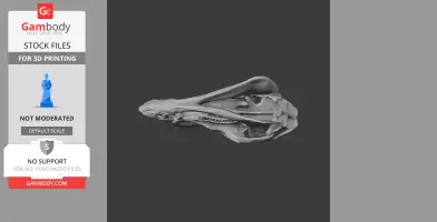Camel Skull
