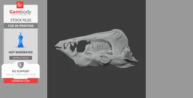 Camel Skull