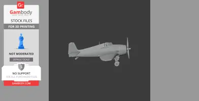 Hellcat Plane