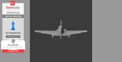 Hellcat Plane