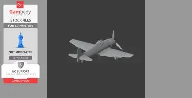 Hellcat Plane