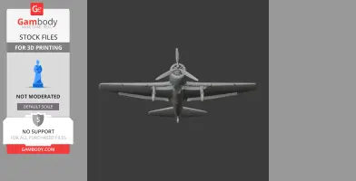 Hellcat Plane
