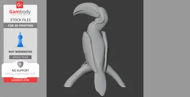 Hornbill