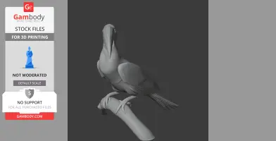 Hornbill