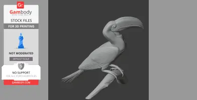 Hornbill