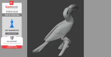 Hornbill