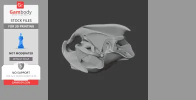Cane Rat Skull