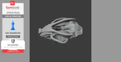 Cane Rat Skull