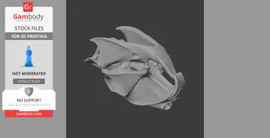 Cane Rat Skull