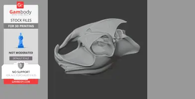 Cane Rat Skull
