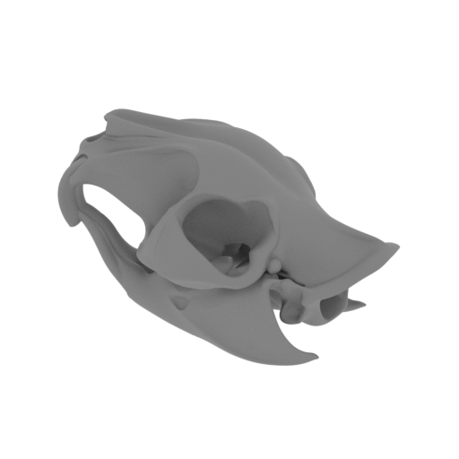 Cane Rat Skull.stl