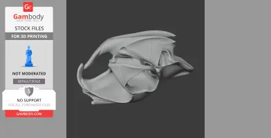 Cane Rat Skull