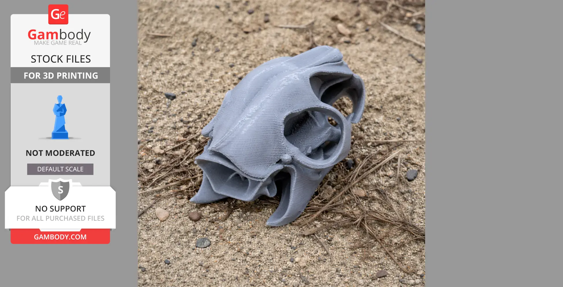 3D-printed cane rat skull model on sandy ground with scattered twigs.