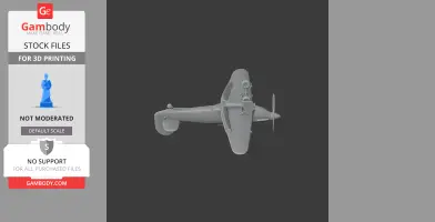 Hurricane Plane
