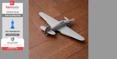 Hurricane Plane