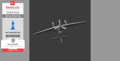 Hurricane Plane