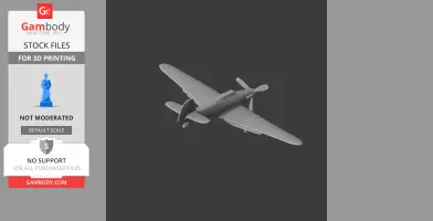 Hurricane Plane